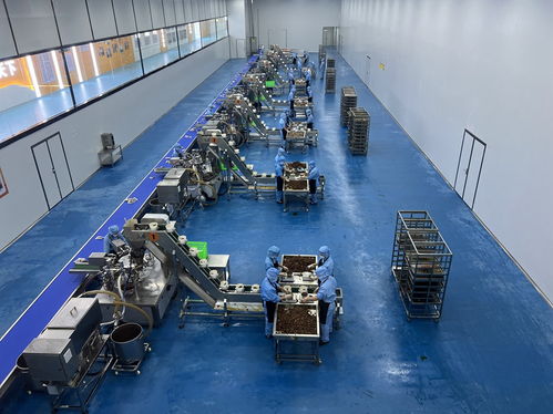 實(shí)地觀摩見證陜南綠色轉(zhuǎn)型發(fā)展