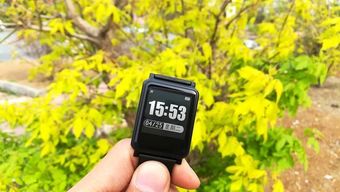 有了這些科技產品，你絕對瘦得起！